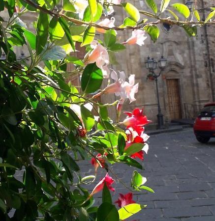 Nenet Bed & Breakfast Guglionesi Exterior foto