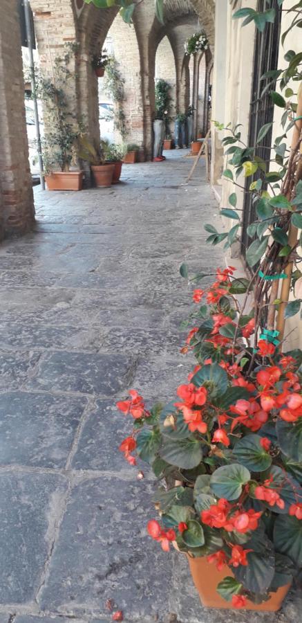Nenet Bed & Breakfast Guglionesi Exterior foto