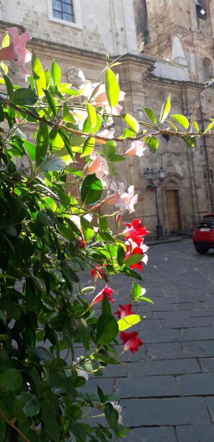 Nenet Bed & Breakfast Guglionesi Exterior foto